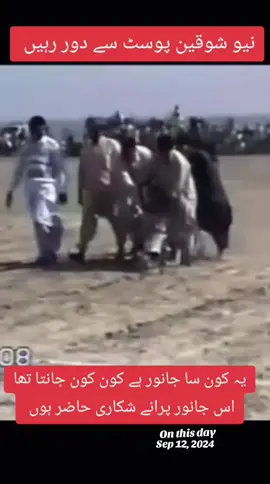 #mahsabdhanyal #dogsoftiktok #bullishokeen #bullykuttalovers #foryoupage❤️❤️ 
