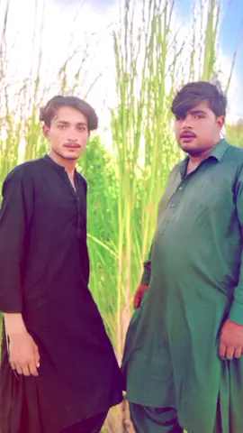 #سنگت_ویڈیو_وائرل_کریسو_آپ_ہیں🥀🌼🙈✨🎇نیو #liaqatali #tiktok #viralvideo 