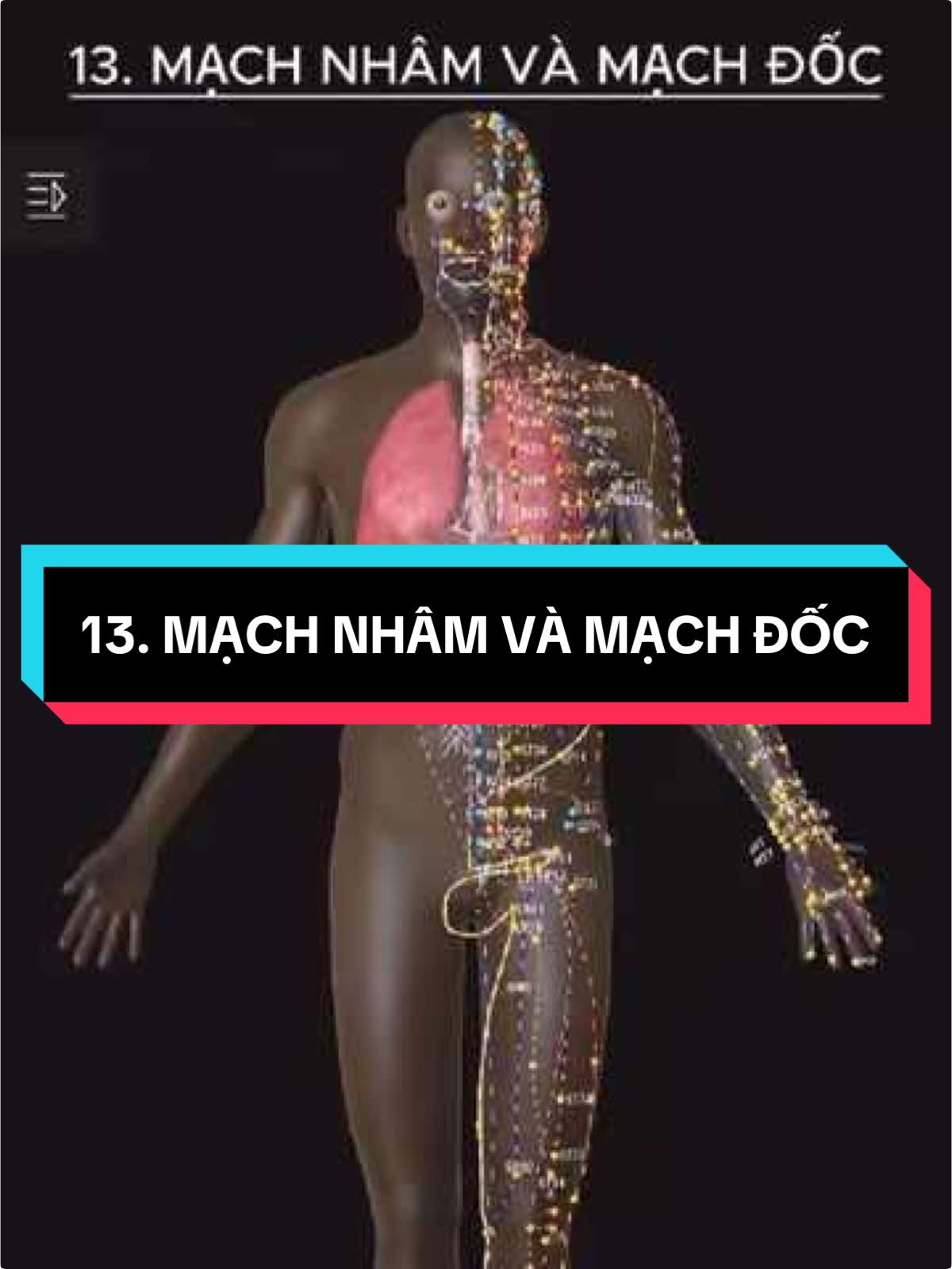 13. HỌC MẠCH NHÂM VÀ MẠCH ĐỐC#YHCT