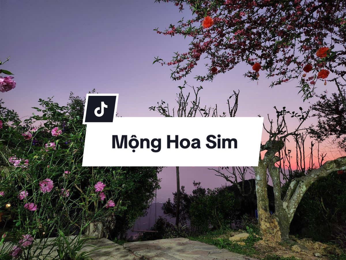 Tôi đã hứa với em rằng  #nhachaymoingay  #nhactamtrang  #xuhuong2025  #foyou  #fpy 