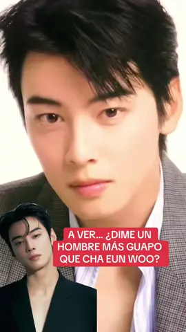 A VER… ¿DIME UN HOMBRE MÁS GUAPO QUE CHA EUN WOO?  #chaeunwoo #eunwoo #nunu #handsome #guapo 