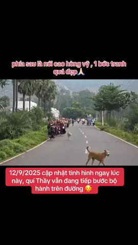 12/9/2025 cập nhật tình hình ngay lúc này, quí Thầy vẫn đang tiếp bước bộ hành trên đường 🥰 #longkadaily #thayminhtuemoinhat #thayminhtuehomnay #suminhtuemoinhat #thichminhtue 