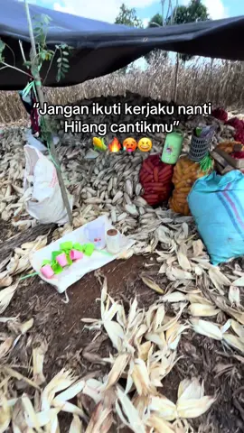 Mabolong Ki’ juga nanti🤣🙏🏻#menyalaabangkuh🔥 #fyppppppppppppppppppppppp #lewatberandafyp #petanijagung 