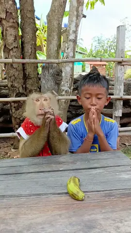Kids in Blue Jerseys Sharing Fruit with Monkeys in Red Outfits - Most HEARTWARMING Friendship Ever