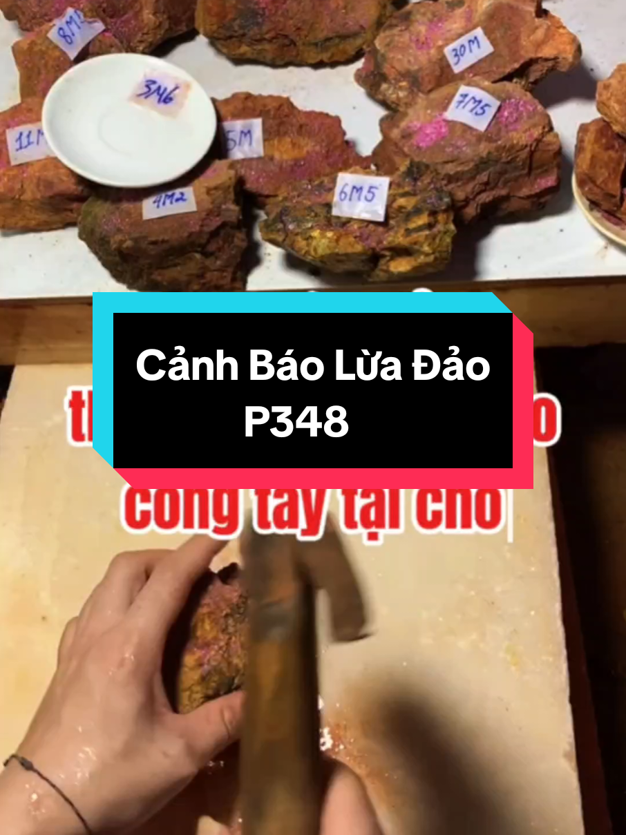 Đang Mở Bát Lừa Đảo Thì Bị Công An Ập Vào Còng Tay Tại Chỗ #xuhuong #lừađảo #mởbát #đáquý #yênbái 
