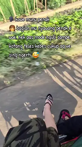 #penaksingnyawang #fyppppppppppppppppppppppp 