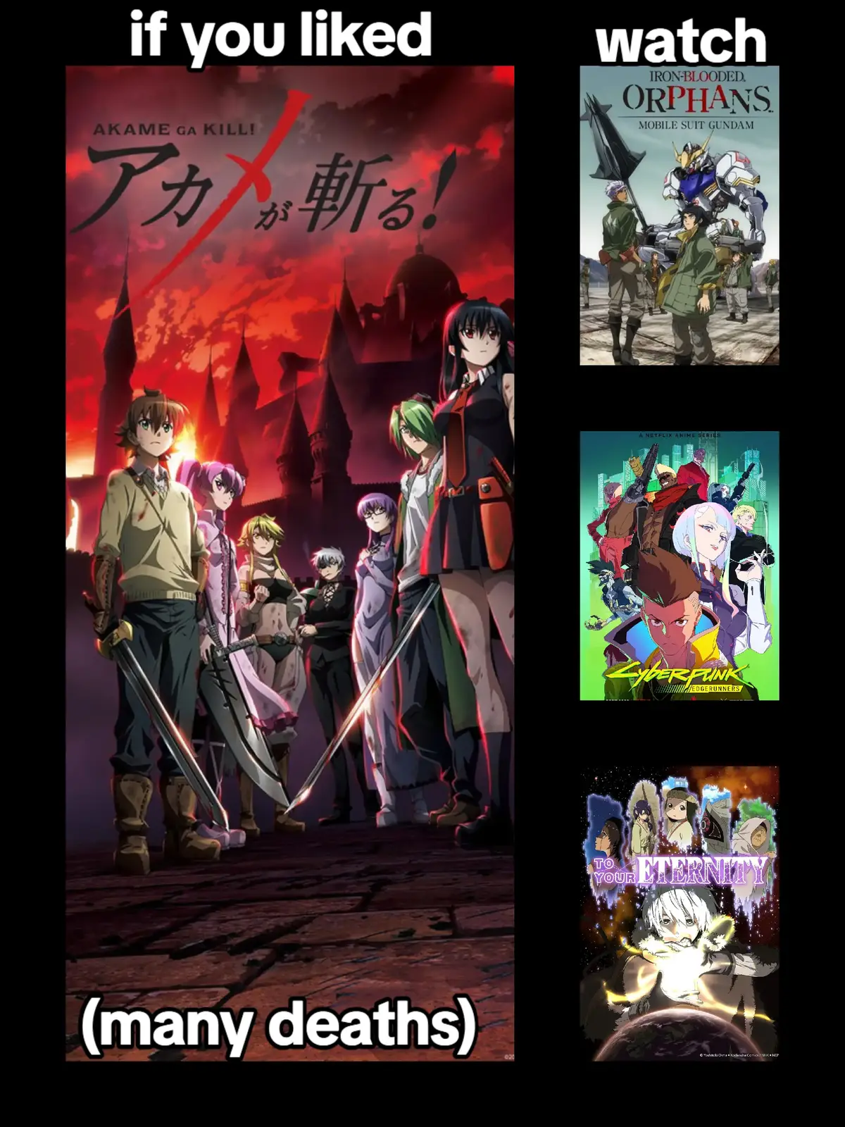 anime recommendations #anime #otaku #acepirates #fyp #animerecommendations 