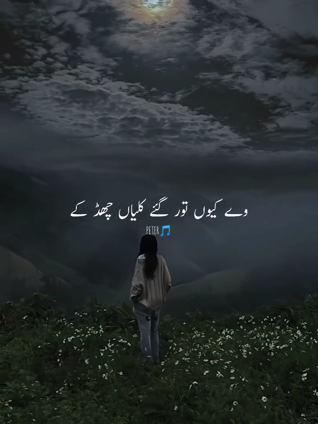 Vy keu tur gy klya chad k😭 #punjabisong#PETER#sadsoong#foru#unfreezemyacount