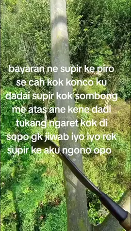 sek melu wong ae kok sobong nge gk ukur 