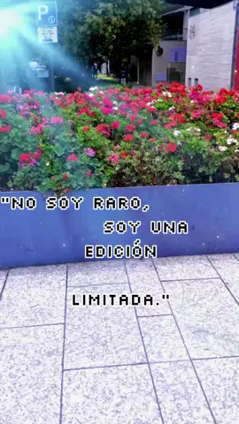 #😎 #edicionlimitada #unica #soyyo 