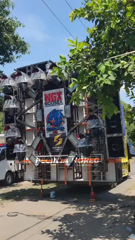 @nanda_audiojember #karnaval #krenceng #nandaaudiongosekk #viral #fyp 
