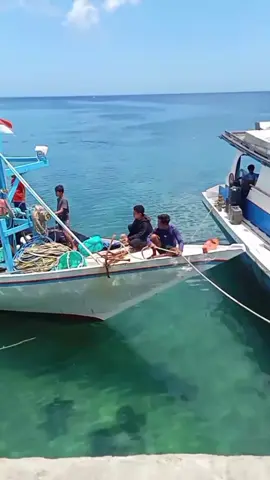 si putih dengan mode karatnya😅#masukberanda #nelayanBulukumba 