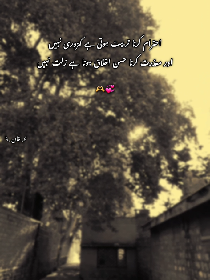 Respect is training, not weakness and apologizing is good morals . . . . . . . . . #Capcut 🫶📈 #fyp #foryouu #urdupoetry #javidkhan22051 