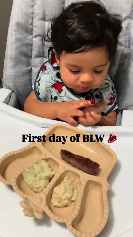 We’re not raising “rice only” Mexican kids LOL 😆 #BLW #blwideas #babyledweaningideas #6monthsold 