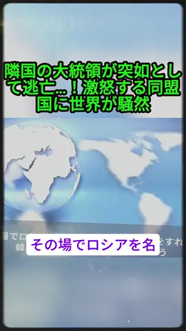 #4【海外の反応】隣国の大統領が突如として逃亡…！激怒する同盟国に世界が騒然 #大統領 #隣国 #国際情勢