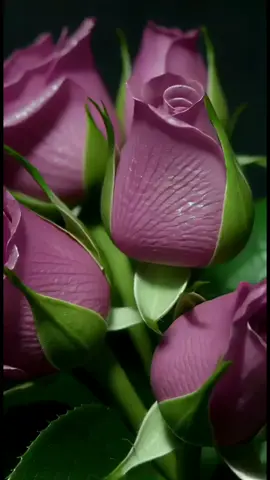 #flower #flowers #цветы 