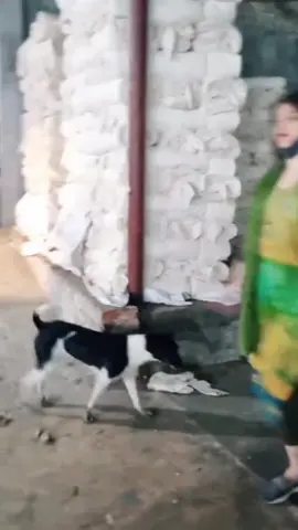 রেখো না মনে আমার স্মৃতি 🥰❤️