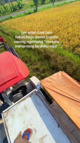Ndak umum  #fy #fyp #fyppppppppppppppppppppppp #berandatiktok #kubotadc70plus 