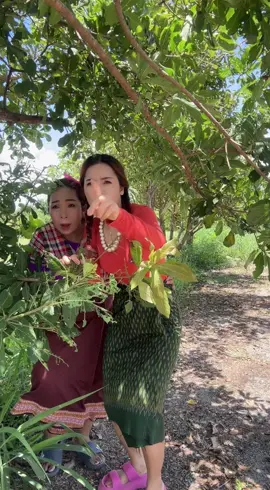 แหย่รังแตนฮาๆ #ขำๆ #คลิปตลก #ตลก #comedy #funny 