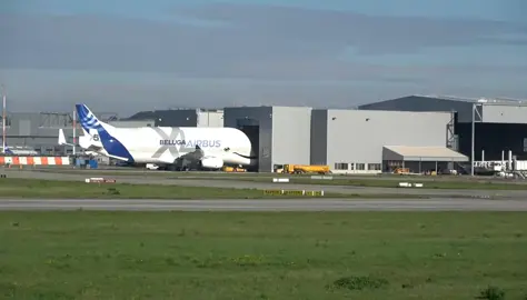AIRBUS Beluga XL 💙 Push back - Taxing - Take off ✈️ #airplane #airbus #beluga 