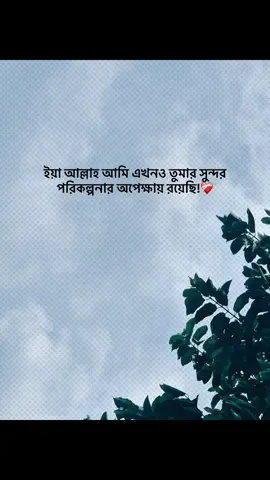 ইয়া আল্লাহ আমি এখনও তুমার সুন্দর পরিকল্পনার অপেক্ষায় রয়েছি!❤️‍🩹 #foryou #banglacaption #sadcaption #emotionalvideo #fyp 