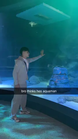 waterboy  #melbourne #adl #sealife #aquaman