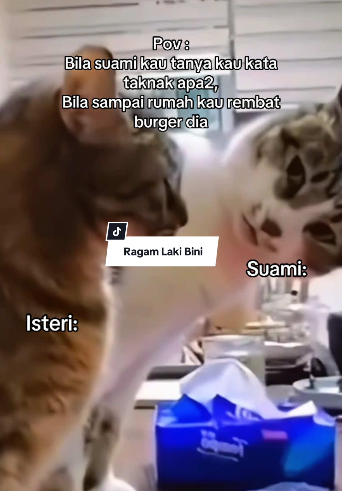 #MemeCut #Meme #MemeCut 