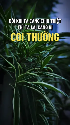 🪷Ai cũng vài lần chịu cảm giác này #ngộ_để_an #phatphapnhiemmau #trending #xuhuongtiktok #cliptrieuview 