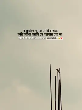 কল্পনাতে তাকে দেখি বাস্তবে করি আশা জানি সে আমার হবে না,কারণ সে আমার এক তরফা ভালোবাসা...!🥺💔#foryou #foryoupage #trending 