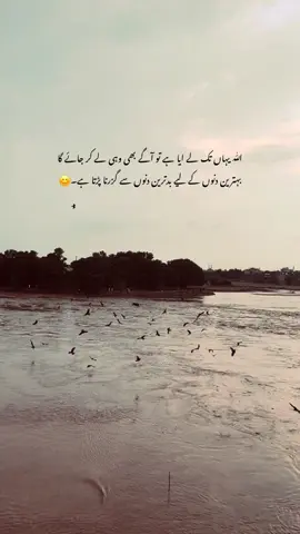 ✨😊#fypviralシviralvideo #trendingtiktok #plzunfrezemyaccount #plzunfrezemyaccount #plzunfrezemyaccount 