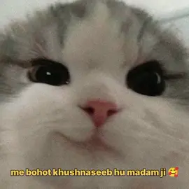 medam ji 🤣🤣🤣🤣🤣#myaccountunfreze🙏🥺viral #unfrezzmyaccount #foryou_tiktok_viral_video_tiktok_foryoupage_100 #foryou_tiktok_viral_video_tiktok_foryoupage_100k_views #myaccountunfreze🙏🥺 