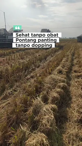 #combineharvester 