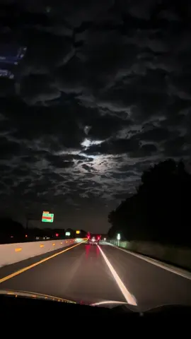 #michigan #usa🇺🇸 #longdrive #viral #sylhety 