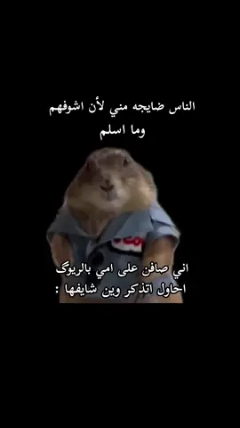 #شعب_الصيني_ماله_حل😂😂 