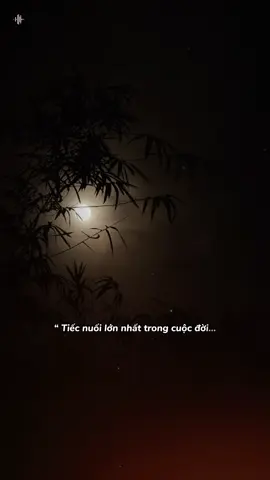 Tiếc nuối lớn nhất trong cuộc đời… #tamtrang #chill #viral #xuhuong 