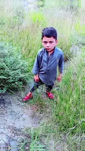 #swatzoo #swat #foryou #tiktok 
