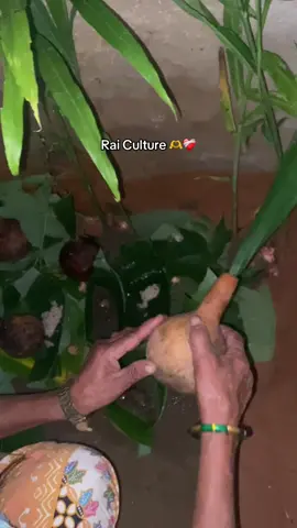 #raiculture #foryoupageofficiall #videoviral #foryoupage❤️❤️ @सिर्जना छारामाहाङ @Dipin @Dikxya Chharahang @Rachana collection 🌸 