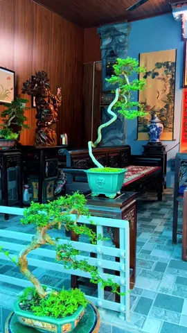Vô thương
