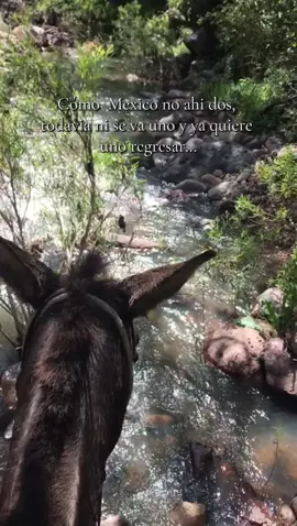 🏞️