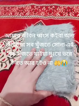 লাশ আর দেয় ছেড়ে দেয় না আমার আল্লাহ যদি মাফ করে আমি করুম না 😭😭😭🤲🤲🤲