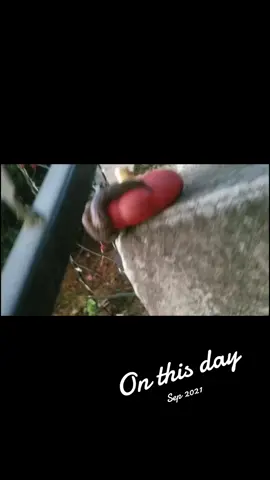 #onthisday