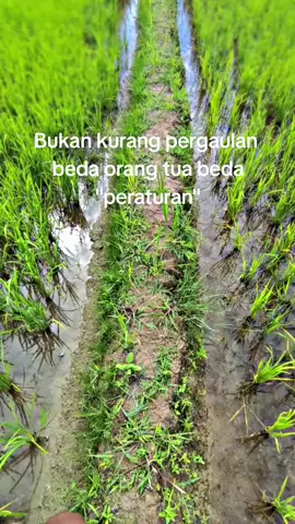 di copy kh😜#fyp #masukberandamu #storykatakata🥀🎭#aktorsawah 