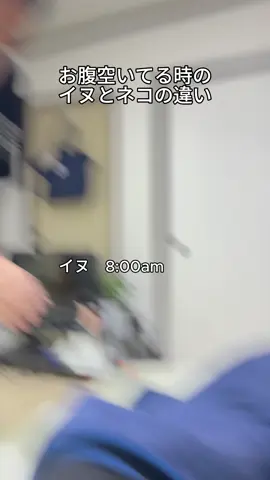 #犬 #猫 #ペット #それから。