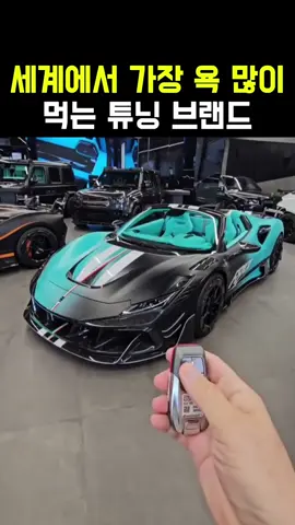 세계에서 가장 욕 많이 먹는 튜닝 브랜드