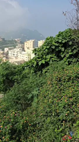 #سبحان_الله_وبحمده_سبحان_الله_العظيم_🤲🏻  #جارة_القمر_فيفاء_الجنوب_السعوديه_🌹🤍  #إكسسسسسسسسسسسسسبلوووررر🌹🕊🤍 
