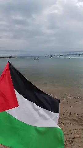 منتصرين بإذن الله أسطول الصمود الله يحفظكم وتوصلو سالمين 🇵🇸 فلسطين في قلوبنا 🇹🇳 #palestine #سيدي_بوسعيد #tunisia #foryou #foryoupage❤️❤️ 