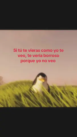 Carajillo #viral #viraltiktok #foryoupage❤️❤️ #paratii #lentejas @TikTok en español @TikTok 