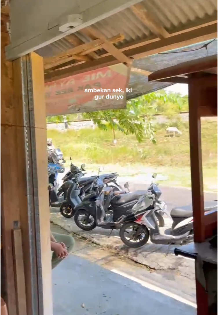 Aktif kembali bes😚 yuk komen bebas yuk, kita spal spil apa nih. Mimin dah mulai keabisan kata