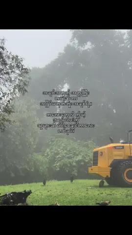 သိစေချင်တယ်😣💐#foryoupage #crdစာသား #fyp #fypシ゚ 