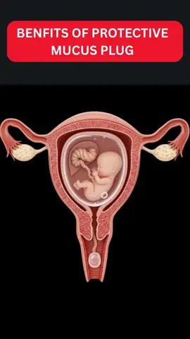 Benefits of protective mucus plug #pregnant #pregnancy#babydevelopment #fetusgrowth # sperm